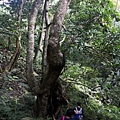 IMG_20220815_070215_2.jpg