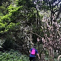 IMG_20220815_070941_2.jpg