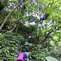 IMG_20220815_071016_2.jpg