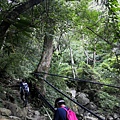 IMG_20220815_071118_2.jpg