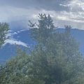 IMG_3541_2.JPG
