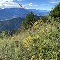 IMG_3524_2.JPG