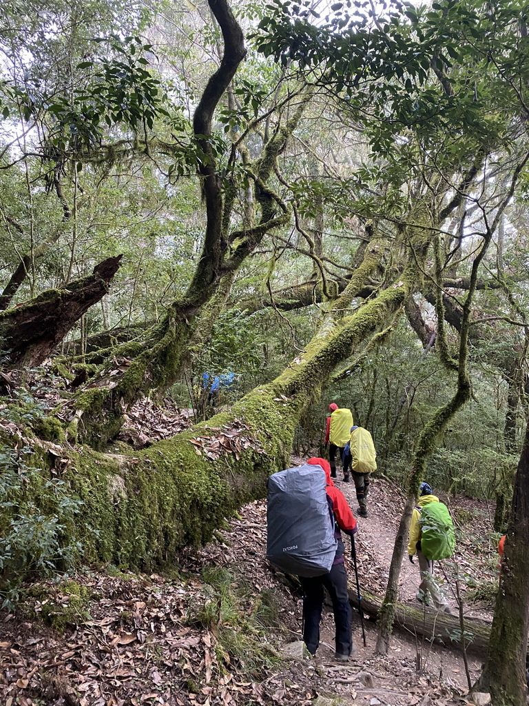 2023/2/25-2/27 嘉明湖&三叉山&向陽山(戒茂斯