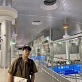 IMG_3217_2.JPG