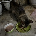 IMG_7613_2.JPG