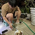 IMG_7644_2.JPG