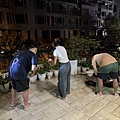 IMG_7654_2.JPG