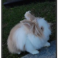 nEO_IMG_DSC_0093.jpg