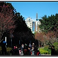 nEO_IMG_DSC_0002.jpg