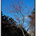nEO_IMG_DSC_0010.jpg