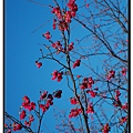 nEO_IMG_DSC_0012.jpg