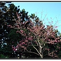 nEO_IMG_DSC_0015.jpg