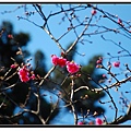 nEO_IMG_DSC_0016.jpg