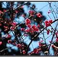 nEO_IMG_DSC_0019.jpg