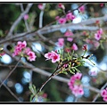 nEO_IMG_DSC_0021.jpg