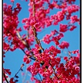 nEO_IMG_DSC_0033.jpg