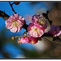 nEO_IMG_DSC_0039.jpg