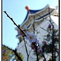 nEO_IMG_DSC_0055.jpg