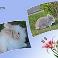 nEO_IMG_DSC_0093-1.jpg