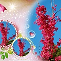nEO_IMG_DSC_0034-1.jpg