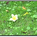 nEO_IMG_SJY_0474