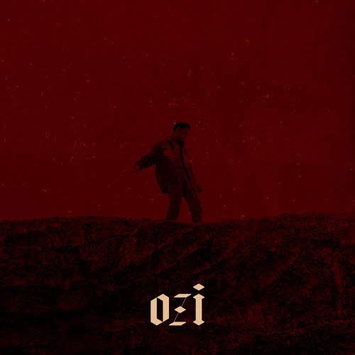 ØZI - The Album.jpg