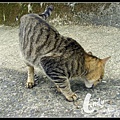 CIMG0297
