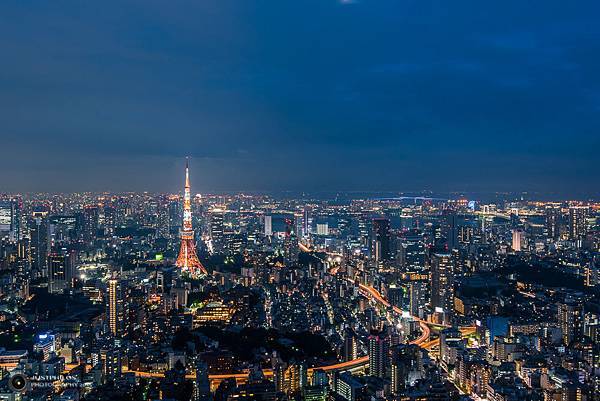 日本 東京自由行規劃 明治神宮 蔦屋書店 六本木夜景 大男孩的相機旅行 日本 東京自由行規劃 明治神宮 蔦屋書店 六本木夜景 大男孩的相機旅行