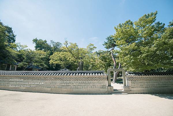 DSC_3700.jpg DSC_3700.jpg