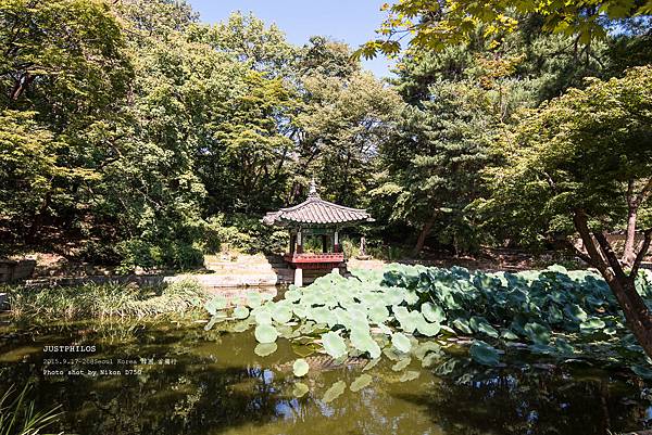 DSC_3706.jpg DSC_3706.jpg