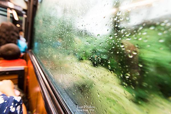 DSC_8100.jpg DSC_8100.jpg