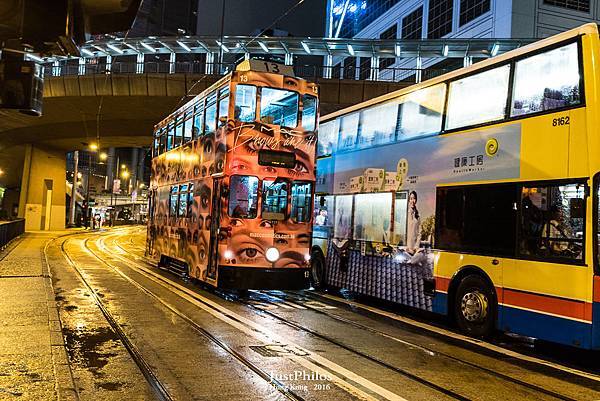 DSC_8195.jpg DSC_8195.jpg