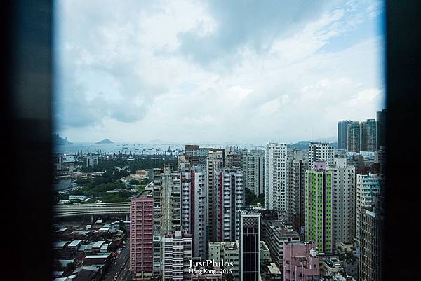 DSC_8232.jpg DSC_8232.jpg