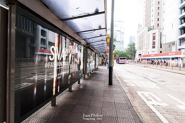 DSC_8341.jpg DSC_8341.jpg