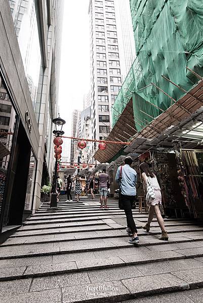 DSC_8391.jpg DSC_8391.jpg