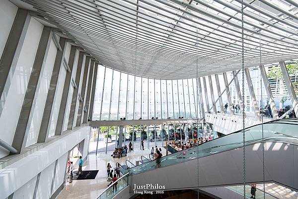 DSC_8443.jpg DSC_8443.jpg