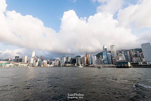 DSC_8503.jpg DSC_8503.jpg