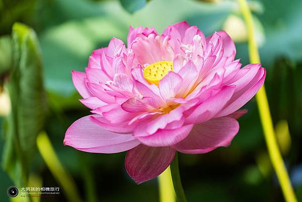 DSC_8969.jpg DSC_8969.jpg