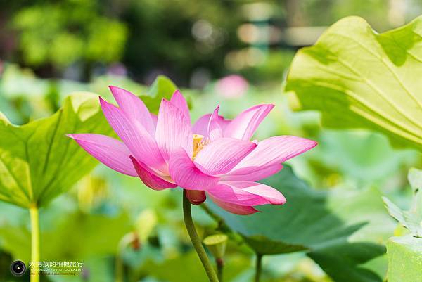 DSC_8983.jpg DSC_8983.jpg