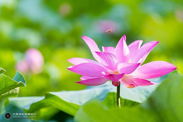 DSC_8998.jpg DSC_8998.jpg