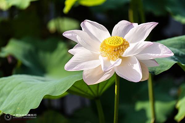 DSC_9058.jpg DSC_9058.jpg