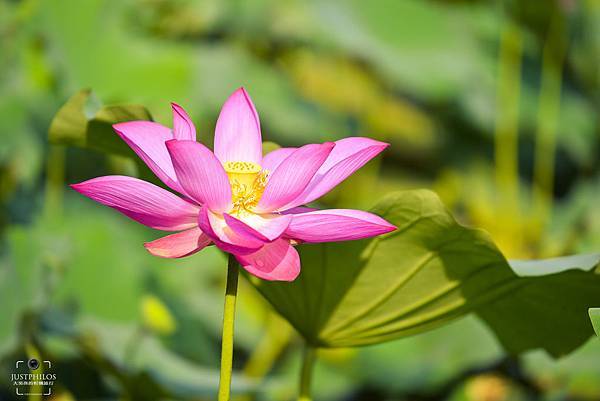 DSC_9033.jpg DSC_9033.jpg