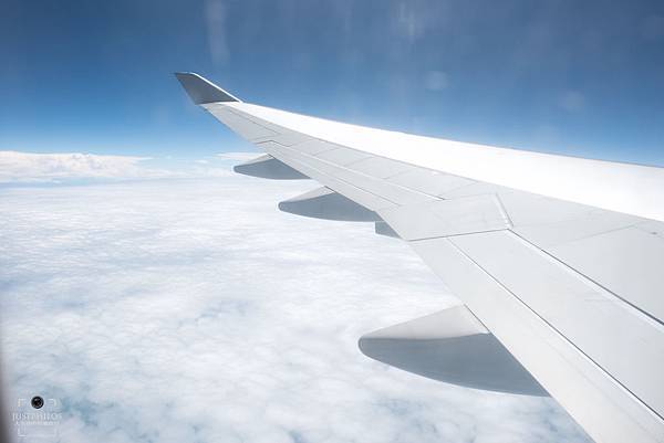 DSC_1438.jpg DSC_1438.jpg