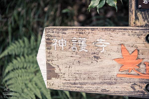 連指標上都印著楓葉的號誌，顯示這邊是以紅葉聞名。