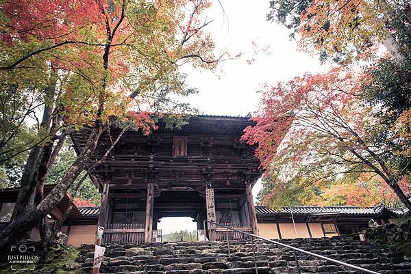 看到這充滿古色的大門就知道神護寺到了。