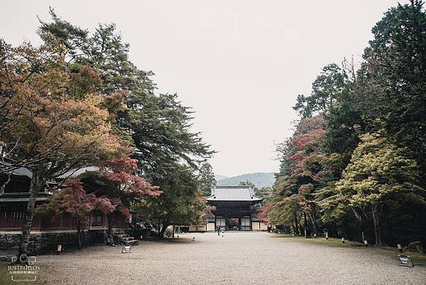 一大早的神護寺，少了些遊客，多了份清幽。