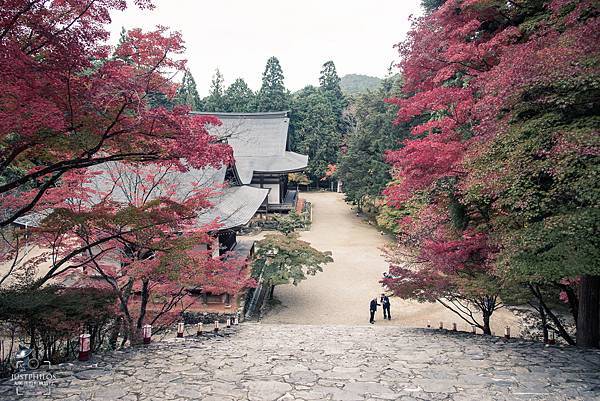 從金堂方向向下眺望五大堂，這邊紅葉相對紅了許多。