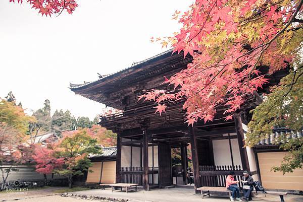 大門內側的紅葉相較於大門前也相對來得紅。