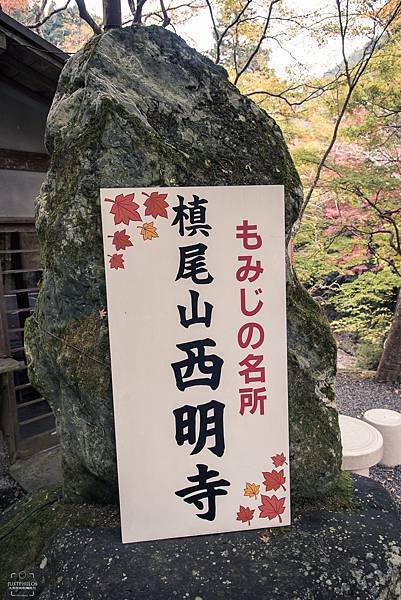 路口的指示牌一樣用紅葉當作象徵，這邊和神護寺相同的是賞楓名所。