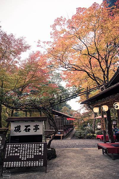 前往神護寺路上的茶莊，隱居在山中增添幾分童話故事裡面的場景趣味。